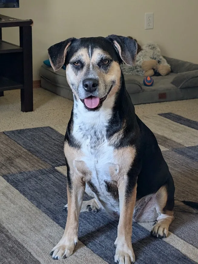 Pepper